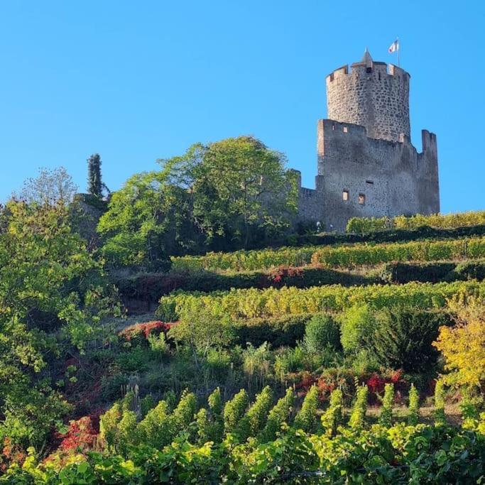 La Jolie Maison Bleue, Au Coeur De L'Alsace Kaysersberg-Vignoble Esterno foto