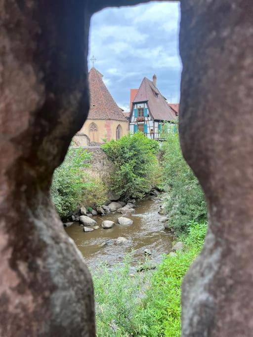 La Jolie Maison Bleue, Au Coeur De L'Alsace Kaysersberg-Vignoble Esterno foto