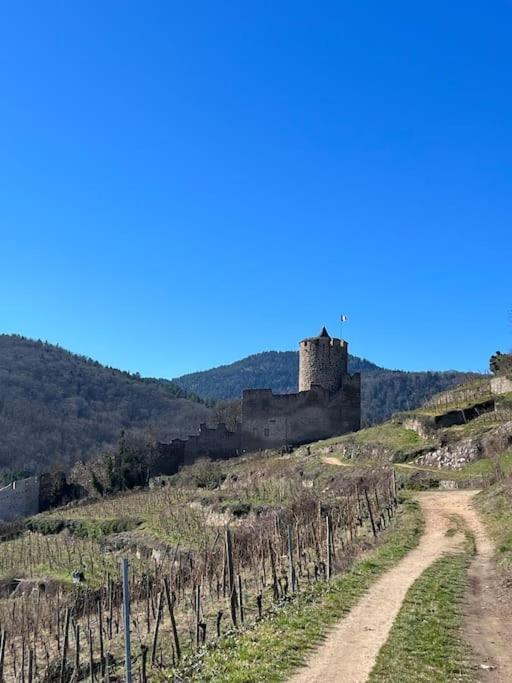 La Jolie Maison Bleue, Au Coeur De L'Alsace Kaysersberg-Vignoble Esterno foto